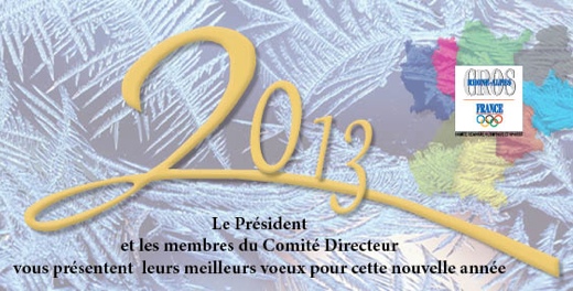 Bonne année 2013...